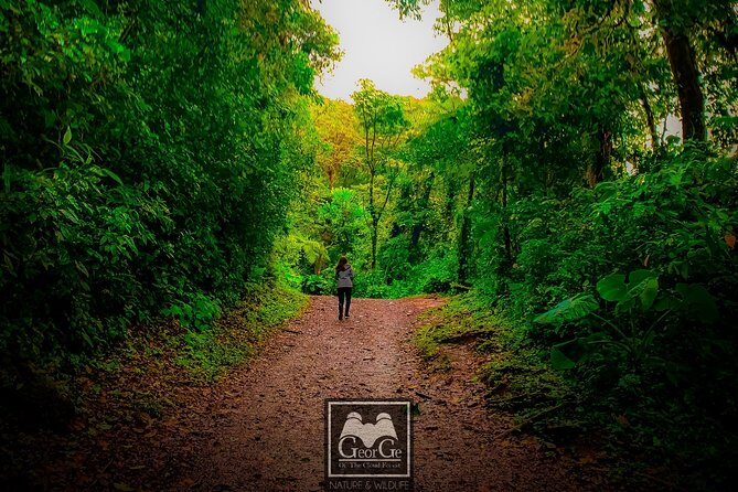 EXCLUSIVE Curicancha Cloud Forest Nature Walk with FREE Binocs - Practical Tips for Your Cloud Forest Walk