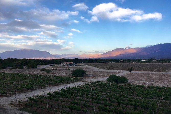 Exclusive day-long private tour of Cafayate vineyards - Who Will Love This Tour?