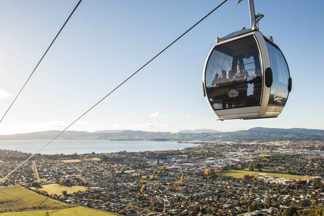 Exclusive Day Trip from Te Puia to Wine Tasting and Redwoods - Practical Tips and Considerations