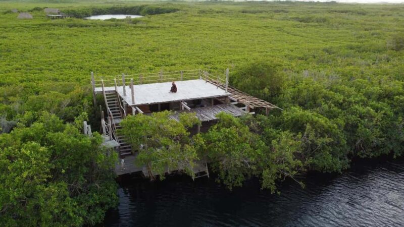 Exclusive dining experience next to a cenote in Tulum - Key Points