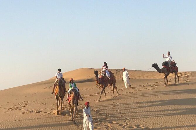 Exclusive Dinner & Camel Safari in Thar Desert (Private Tour) - A Comprehensive Look at the Experience