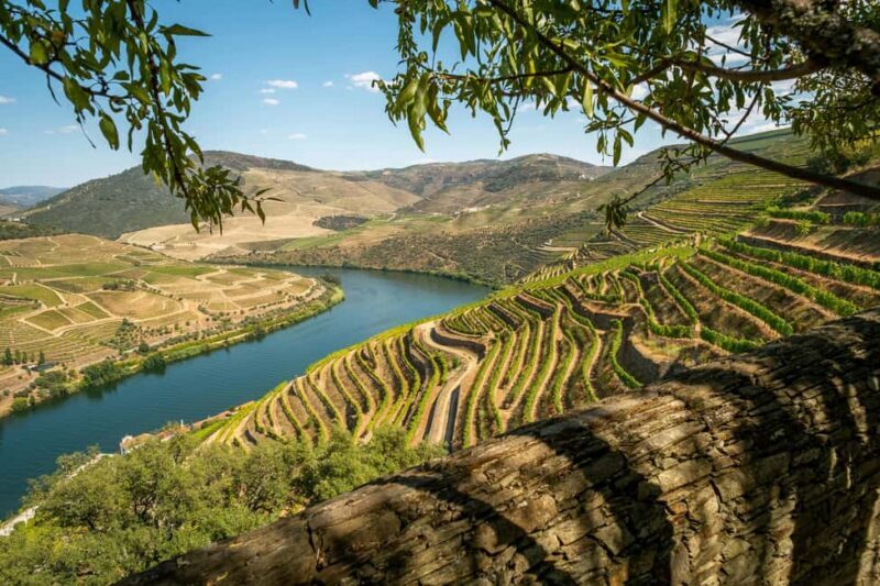 Exclusive Douro Valley: 3 Wineries, 9 Wine Tastings & Lunch - Exploring Portugal’s Douro Valley: A Deep Dive into the 3-Winery Tour