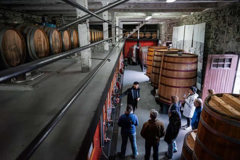 Exclusive Douro Valley: 3 Wineries, 9 Wine Tastings & Lunch - Final Thoughts: Is It Worth It?