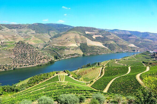 Exclusive Douro Valley: Visit 3 Wineries, 9 Wine Tastings & Lunch - A Deep Dive into the Douro Valley Experience