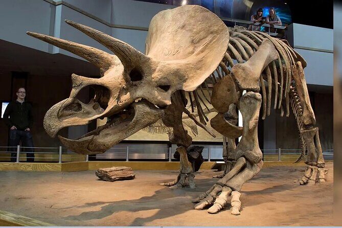 Exclusive Drumheller Private Tour from Calgary - Key Points