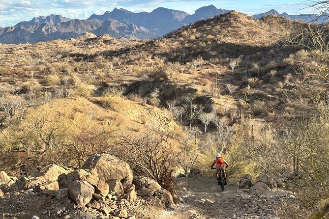 Exclusive Ebike Adventure in Nopolo National Park - Exploring Loreto on Two Wheels: An In-Depth Review