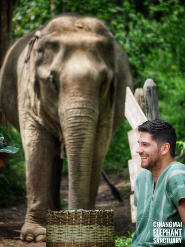 Exclusive experience half day with family giant animals - Key Points