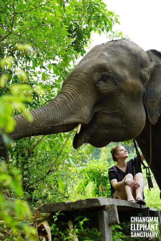 Exclusive experience half day with family giant animals - Who Should Consider This Tour?