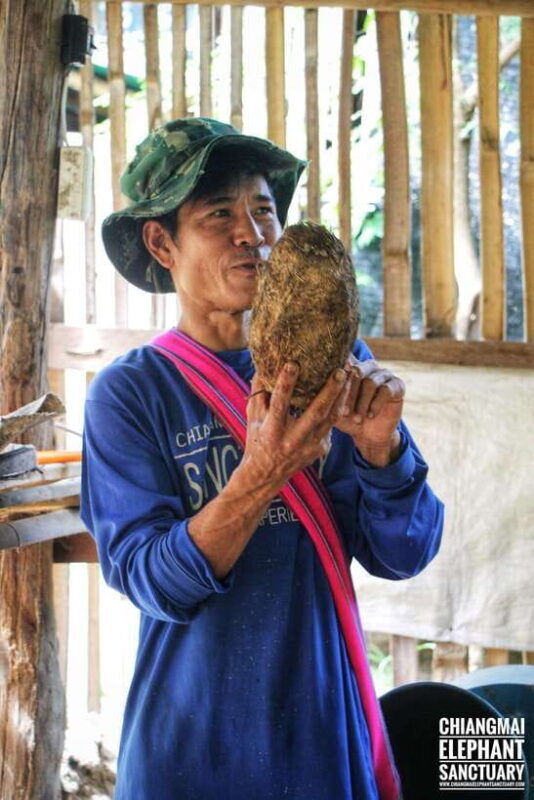 Exclusive experience half day with family giant animals - Frequently Asked Questions