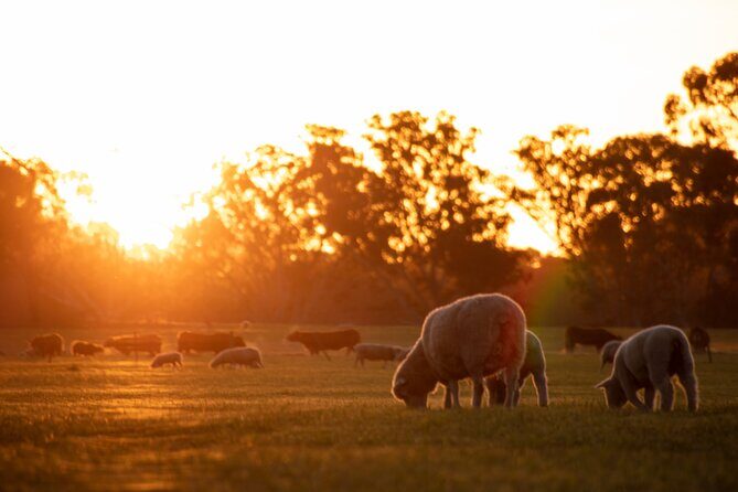 Exclusive Farm Experience - Final Thoughts: Is This the Right Experience for You?