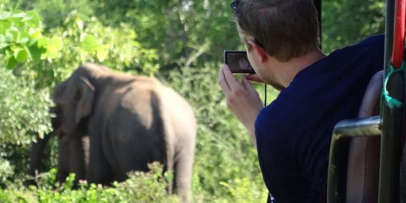 Exclusive : Full-Day Leopard Safari Yala With Picnic Lunch - Key Points