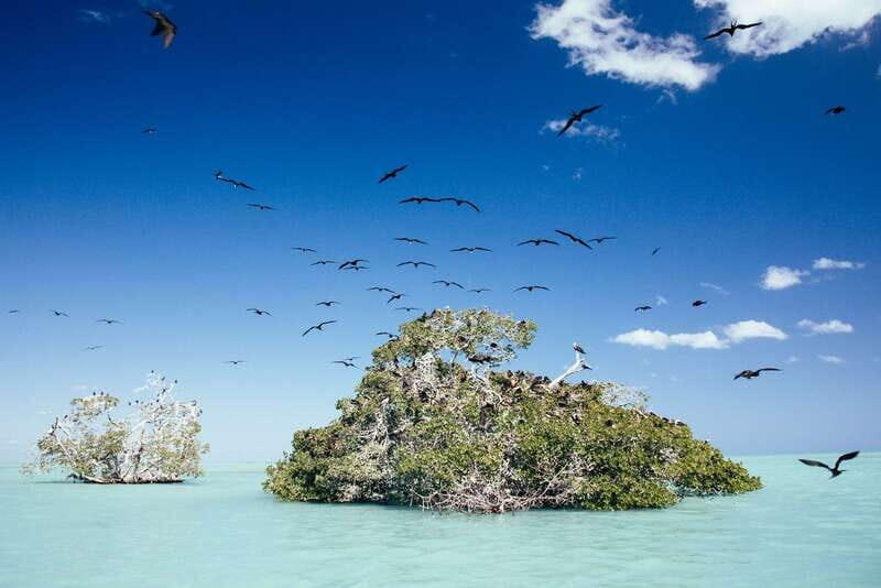 Exclusive Full Day Nature Expedition in Sian Ka'an - Exploring the Heart of Nature: Exclusive Full Day Nature Expedition in Sian Kaan