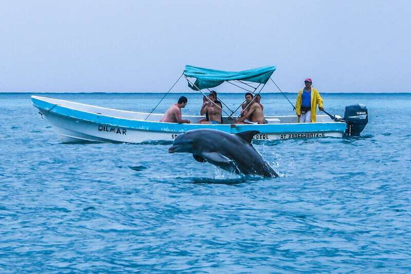 Exclusive Full Day Nature Expedition in Sian Ka'an - Additional Considerations