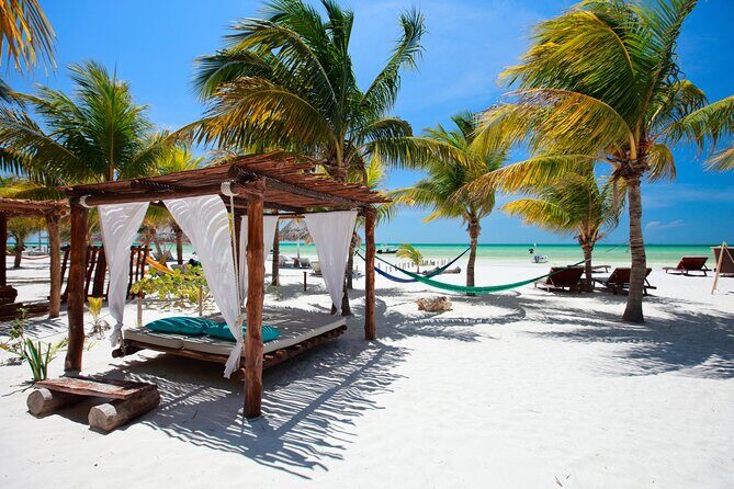 Exclusive Full Day Nature Expedition to Holbox Island - What Travelers Are Saying