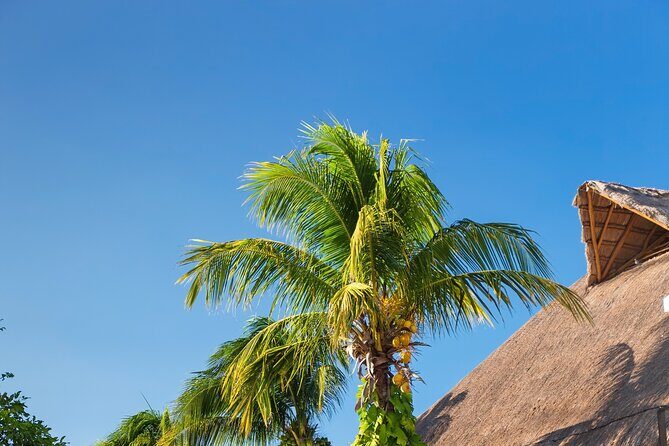 Exclusive Full Day Nature Expedition to Holbox Island - Who Should Consider This Tour?