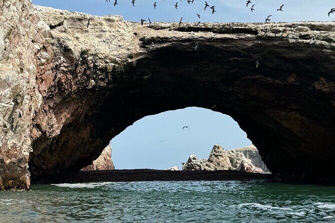 Exclusive Full Day to Ballestas Islands & Huacachina Oasis - Final Thoughts: Is This Tour for You?