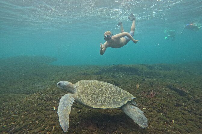 Exclusive Fullday Tour of San Agustín & 9 Bays of Huatulco (8 hr) - An in-depth look at this Huatulco boat tour