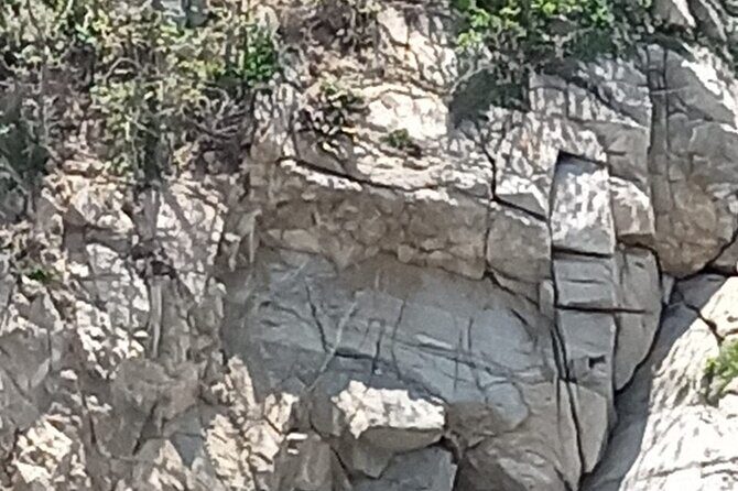 Exclusive Fullday Tour of San Agustín & 9 Bays of Huatulco (8 hr) - Who Should Consider This Tour?