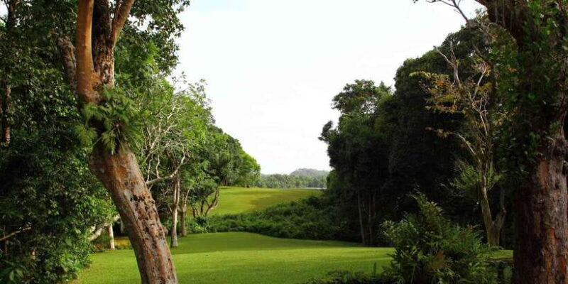 Exclusive : Geoffrey Bawa Country Estate Tour - Exploring Lunuganga: The Heart of the Bawa Experience