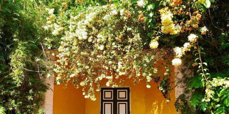 Exclusive : Geoffrey Bawa Country Estate Tour - Who Will Love This Tour?