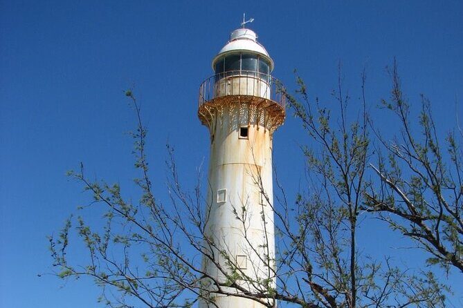 Exclusive Grand Turk Island Tour - A Deep Dive into the Grand Turk Safari Experience