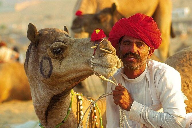 Exclusive: Guided Pushkar Day Trip from Jaipur - The Itinerary in Detail: What to Expect