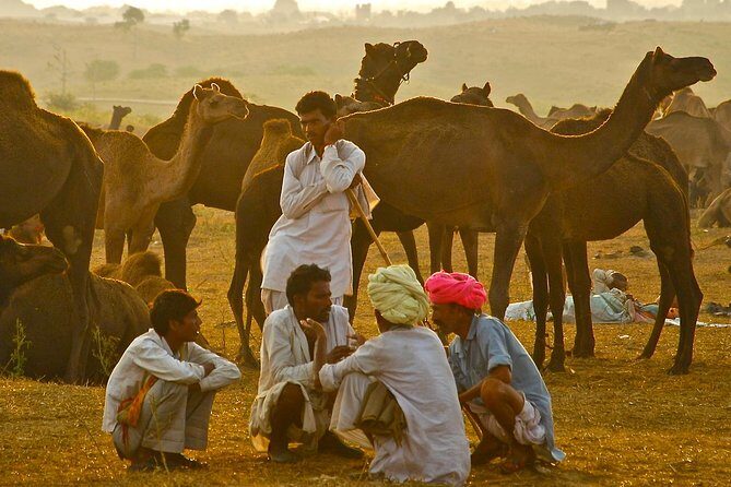 Exclusive: Guided Pushkar Day Trip from Jaipur - Final Thoughts