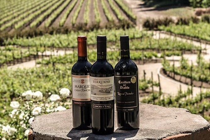 Exclusive Half Day Tour of Winerie Concha y Toro from Santiago - Pricing and Value