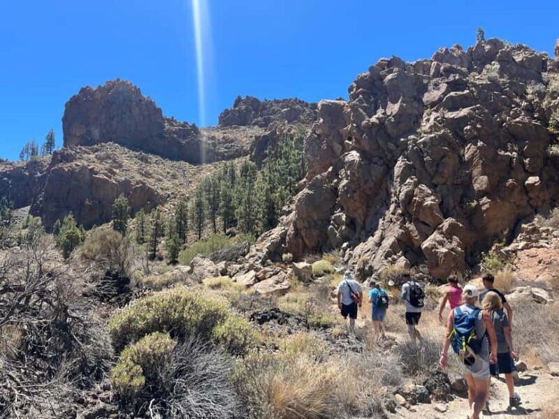 Exclusive hike on Mount Teide with a certified guide - The Details: What to Expect on Your Mount Teide Hike