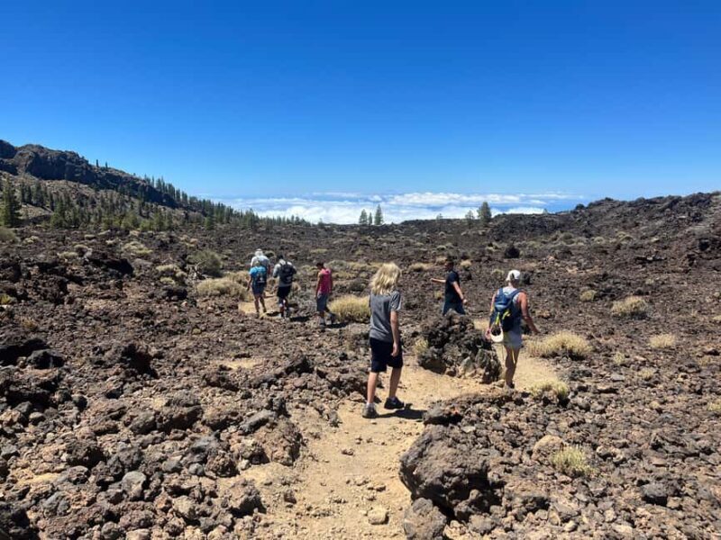 Exclusive hike on Mount Teide with a certified guide - Who Will Love This Experience?