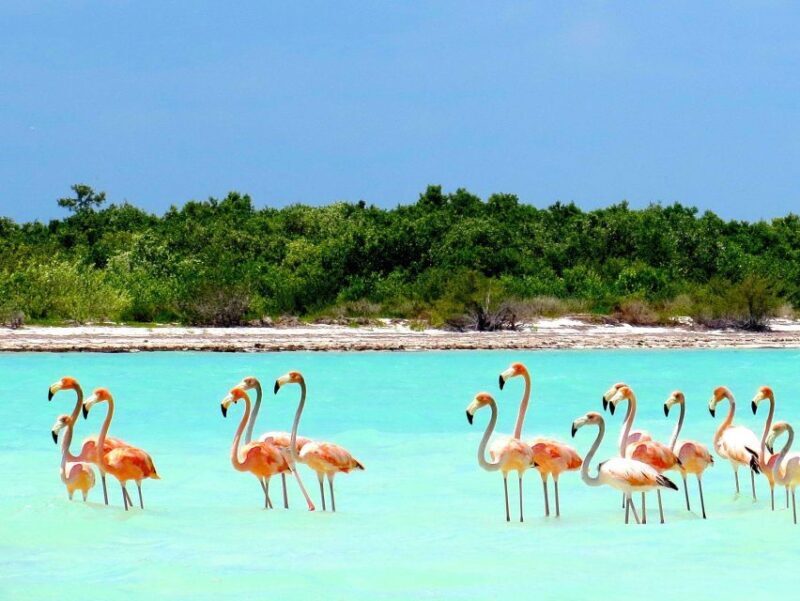 Exclusive Holbox: Yalahau, Punta Mosquito and Isla Pasion - FAQ