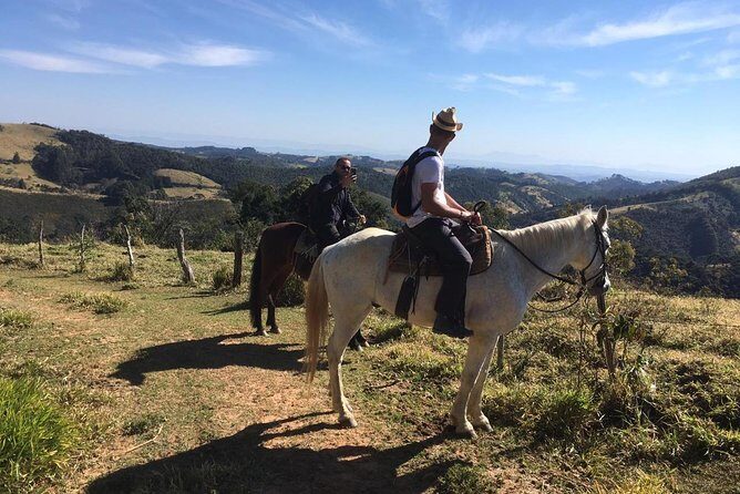 Exclusive Horse Experience with Pic-nic at Belvedere - A Deep Dive into the Horseback Experience at Belvedere