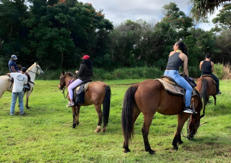 Exclusive Horseback Riding Adventure Countryside & Beach - FAQ