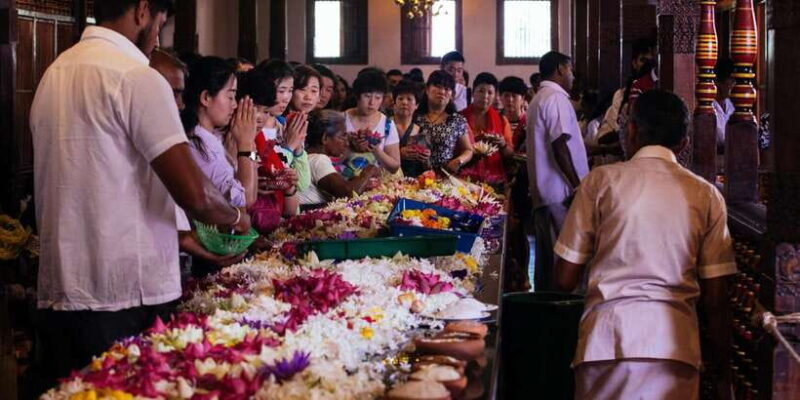 Exclusive : Kandy City Tour by car - Why Choose This Tour?