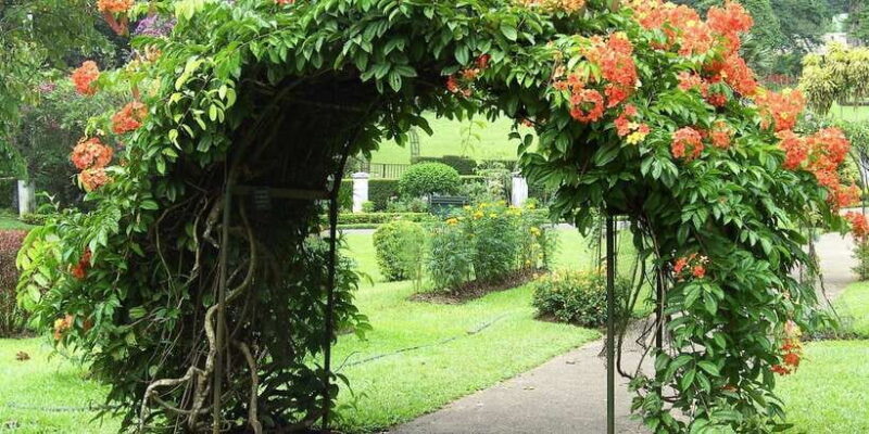 Exclusive : Kandy City Tour by car - Frequently Asked Questions