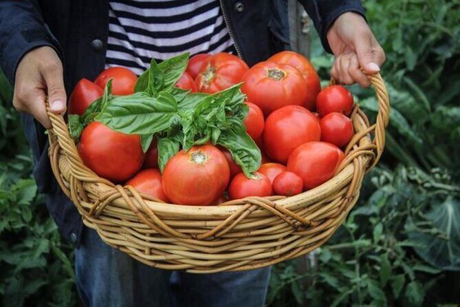 Exclusive Kefalonia Gems - Culture, Nature & Flavor - Wrapping It Up: Who Will Love This Tour?