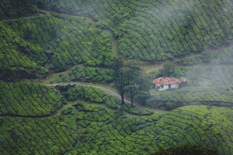Exclusive Kerala Beauty, Munnar Hill Station Overnight Tour - Final Thoughts