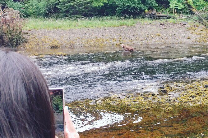 Exclusive Locations Private Bear Viewing - In-Depth Review of the Private Bear Viewing Experience