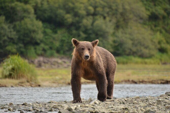 Exclusive Locations Private Bear Viewing - Frequently Asked Questions