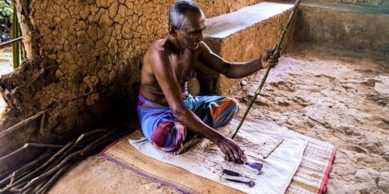 Exclusive Madu River Safari & Turtle Farm Tour from Colombo - Why This Tour Offers Real Value