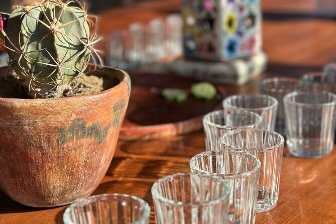 Exclusive: Monte Albán, Hierve el agua, Teotitlán & Mezcal Tour - Final Thoughts