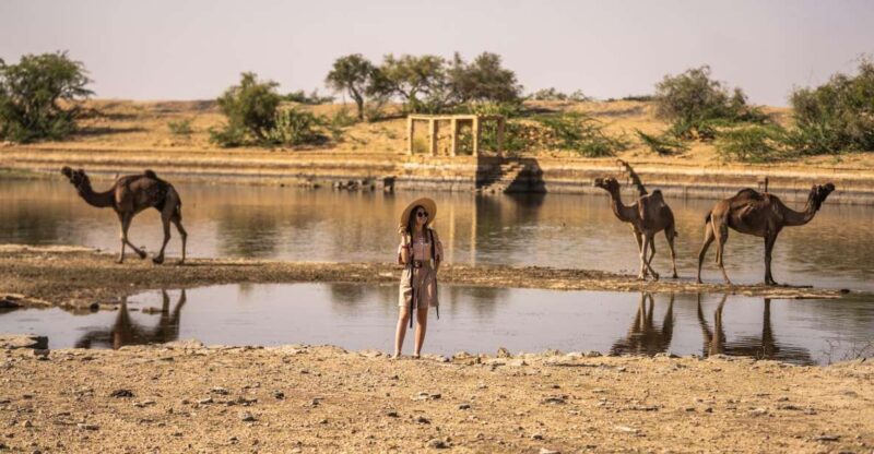 Exclusive Musical Evening at Desert Luxury Camp (NO CAMEL) - Key Points