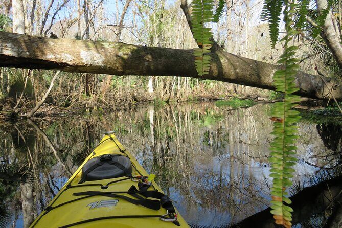 Exclusive Nature Escape Kayak Adventure on Blackwater Creek - Key Points