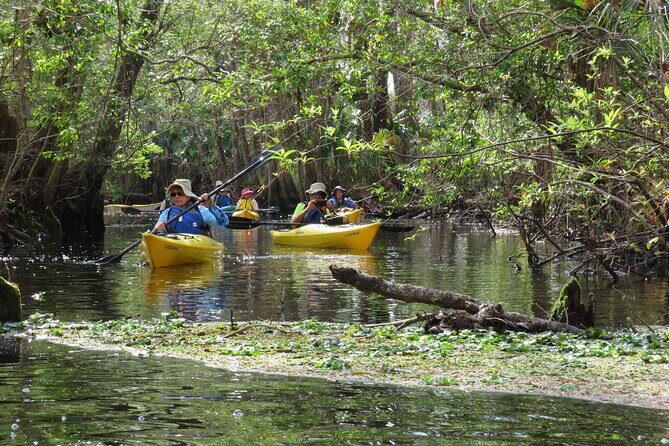 Exclusive Nature Escape Kayak Adventure on Blackwater Creek - FAQ