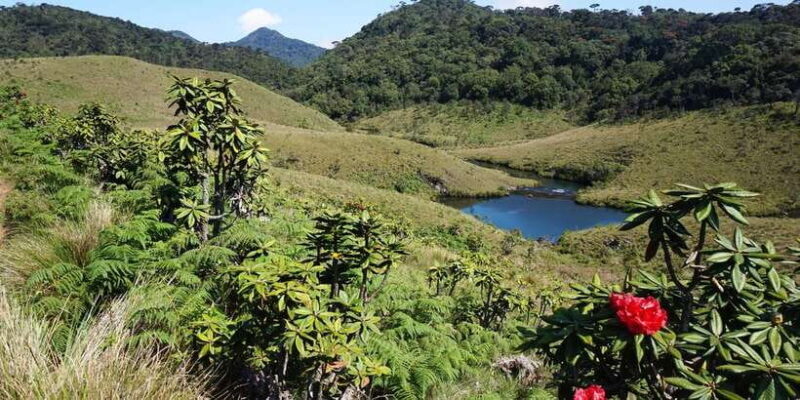 Exclusive Nuawara Eliya: Horton Plains and Tea Factory Tour - Exploring Sri Lankas Perfect Hill Country Day Trip