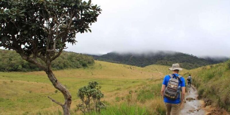 Exclusive Nuawara Eliya: Horton Plains and Tea Factory Tour - What Makes This Tour Stand Out?