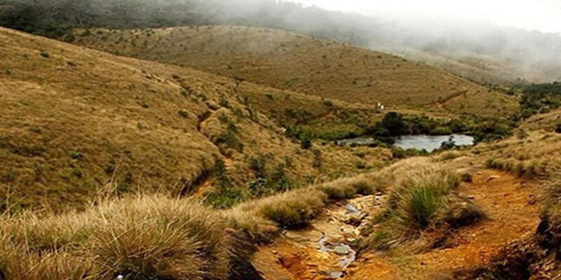 Exclusive Nuawara Eliya: Horton Plains and Tea Factory Tour - FAQ