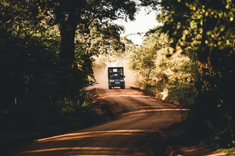 Exclusive Over Night Glamping Experience and Nature Trail - Exploring the Yala Glamping Experience in Detail