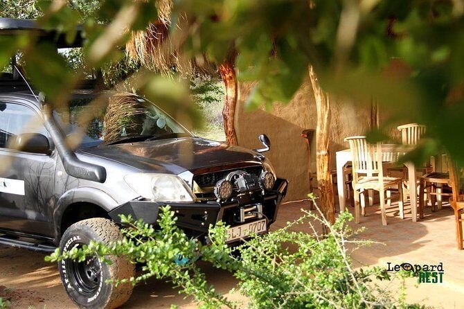 Exclusive : Overnight Leopard Safari with Luxury Glamping - Who Would Enjoy This Tour?