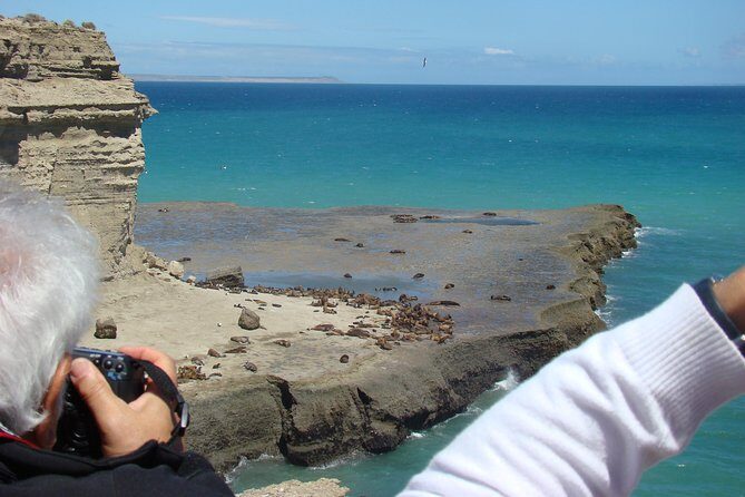 Exclusive Peninsula Valdes Nature & Wildlife for Cruise Guests - An In-Depth Look at the Peninsula Valdes Experience